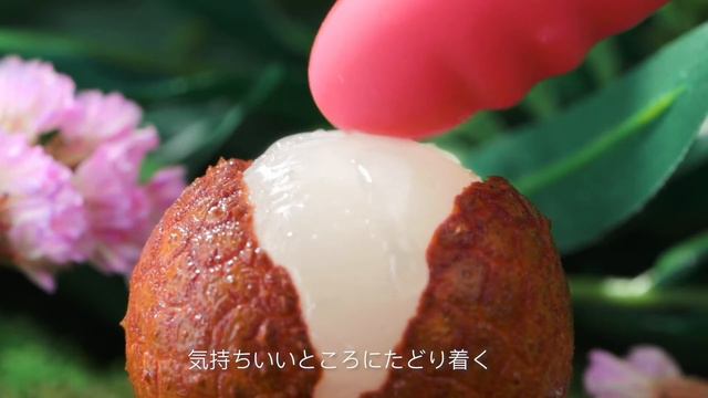 SVAKOM【CICI】バイブ