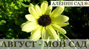 АВГУСТ 2018 МОЙ САД и ОГОРОД / Garden's tour August 2018