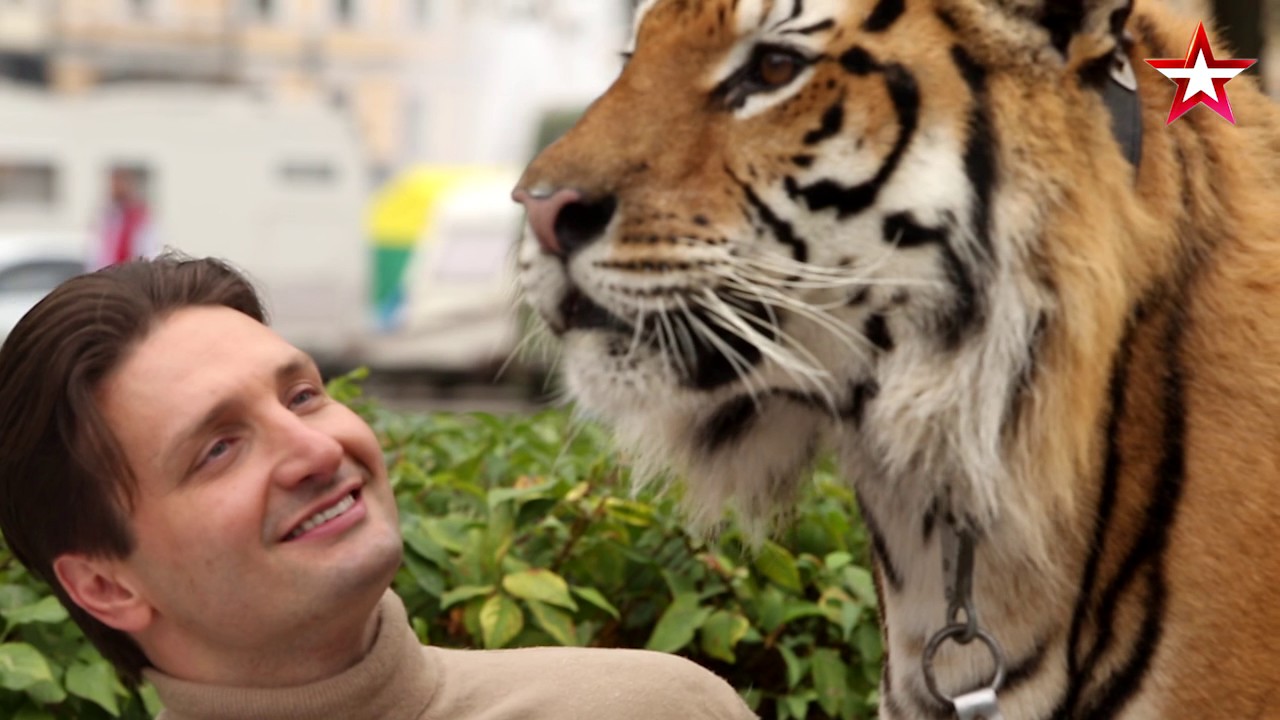 «Легенды Цирка с Эдгардом Запашным» - №20 - Тигр Мартин смотреть онлайн