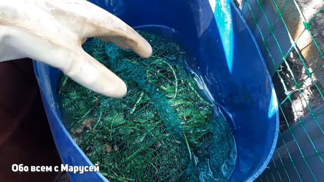ЛУЧШЕЕ УДОБРЕНИЕ ДЛЯ БУЙНОГО РОСТА ОГУРЦОВ ЦВЕТОВ ЧЕСНОКА ЛУКА КАПУСТЫ garden@obovsemsmarusya смотреть онлайн