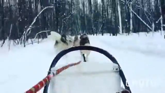 На санях смотреть онлайн
