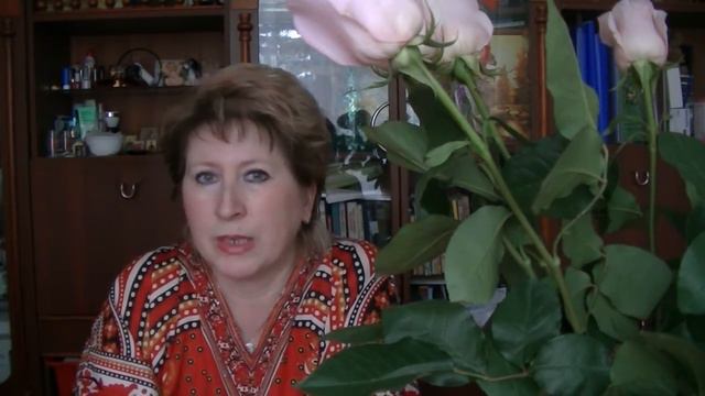 FixPrice День Рождения дочки Болталка смотреть онлайн