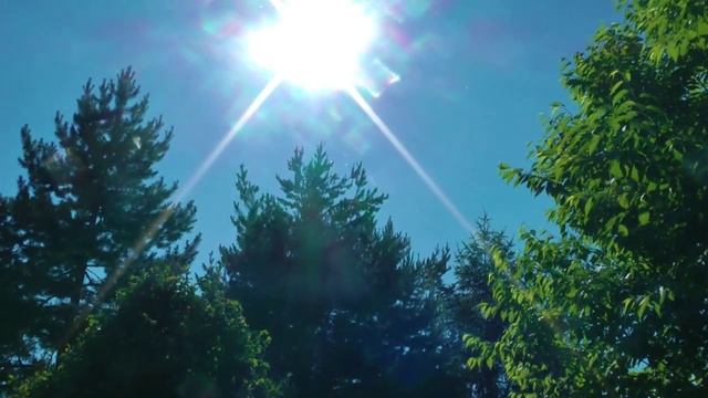 Видеоклип МУТ КАМЧАТКА смотреть онлайн