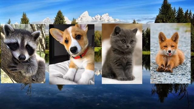 Выбери себе подарок?Выбиралки ?Выбирашки ?Сюрприз