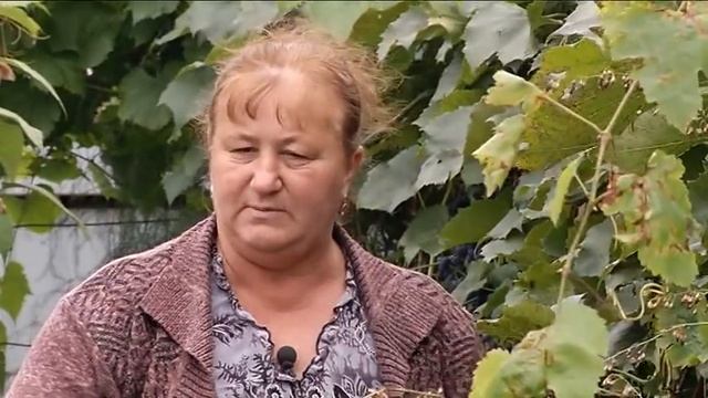 Программа Два шага по карте с Садовое смотреть онлайн