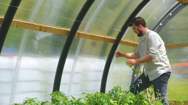 How to Support Your Undercover Tomatoes (Low-Cost & Simple!) смотреть онлайн