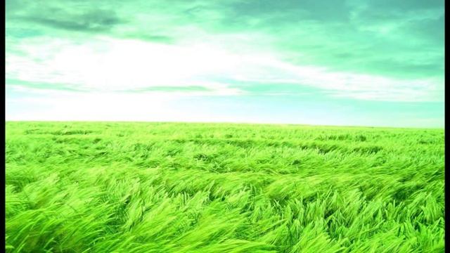 Manjusri Bodhisattva Mantra смотреть онлайн