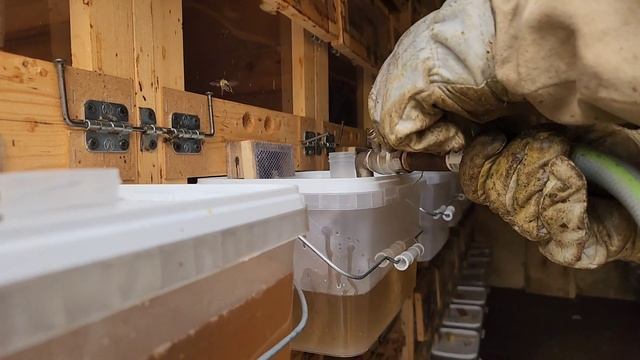 Готовим пасеку к зиме: кормить ли сахаром? смотреть онлайн