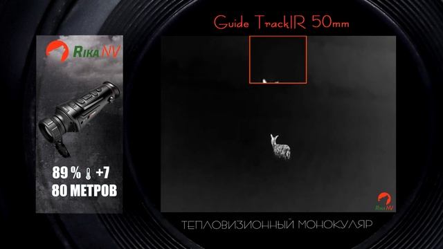 Guide TrackIR 50mm тепловизор. Видео из дикой природы, реальные кадры. смотреть онлайн