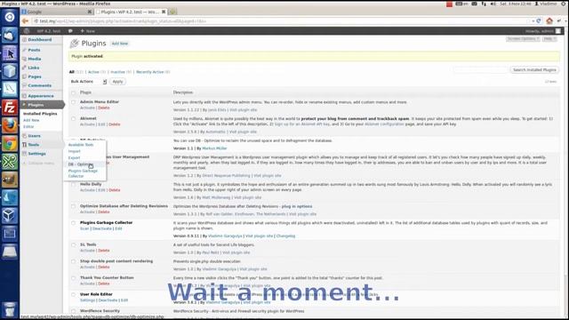 DB Optimize WordPress plugin смотреть онлайн
