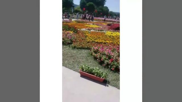 Праздник цветов в г.Ташкенте#8 мая. смотреть онлайн