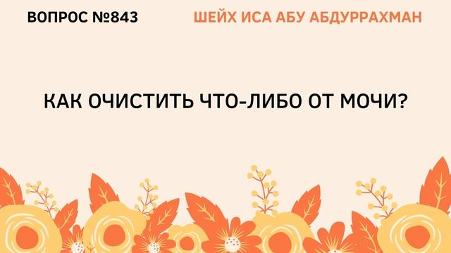 843. Как очистить что-либо от мочи? || Иса Абу Абдуррахман смотреть онлайн