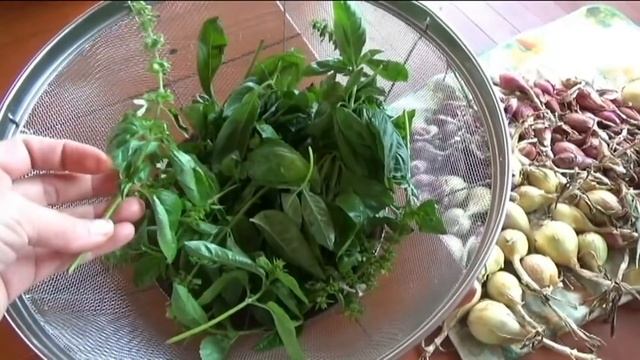 Приправа из свежего базилика на зиму. Вкусовая бомба! смотреть онлайн