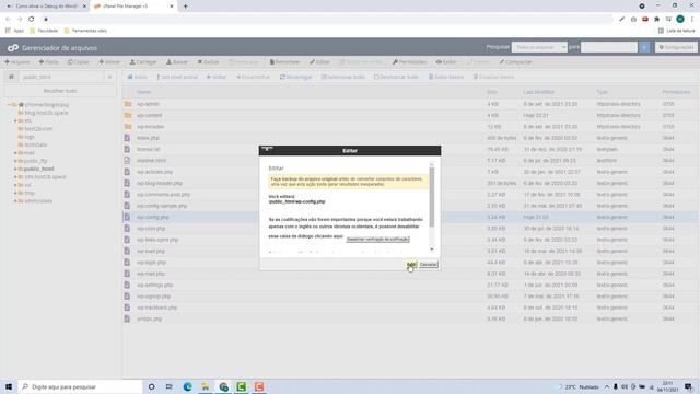 Como ativar o Debug do WordPress na Hostzone – rápido e fácil – 2022 смотреть онлайн