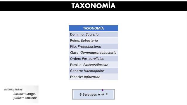 Neisseria meningitidis y Haemophilus influenzae смотреть онлайн