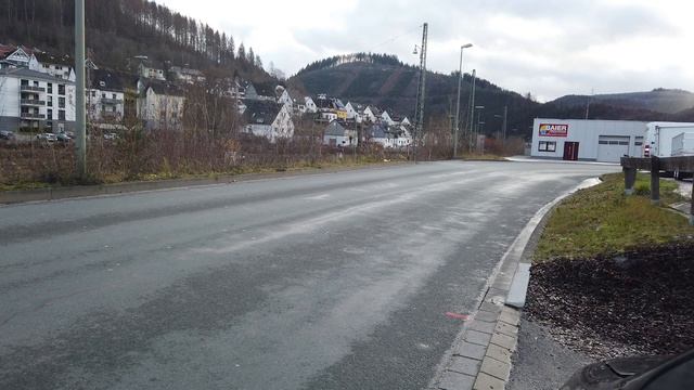 В германии погибают леса  .