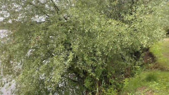 МНЕ НРАВИТСЯ ЖИТЬ В СЕЛЕ смотреть онлайн