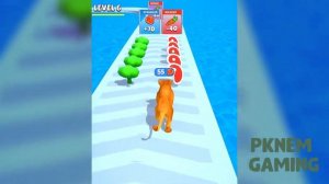 CAT EVOLUTION Merge Animal Max Level - Merge Battles - Cat, Deer, Tiger, Cheetah, Lion, Panther