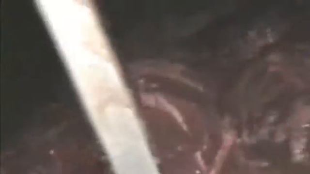 Массирование говядины