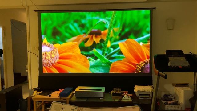 Element5 Projector Singapore Present Appotronics Wemax D30 + VividStorm 120