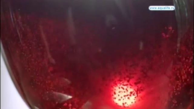 АКВАЛАЙФ ВОДА НАПИТКИ ИЗ ЧЕРНОГОЛОВКИ напиток 07062016 2865795 смотреть онлайн