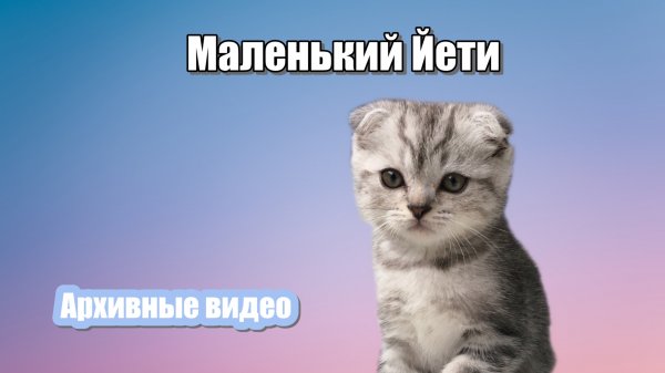 Йети в детстве