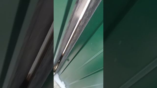 Лион Босс: вот и всё!❤️Волонтеры "Тарасик и команда", приют в ТиНАО, Москва смотреть онлайн