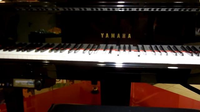 Рояль который играет сам по себе))) удивительное явление))) смотреть онлайн