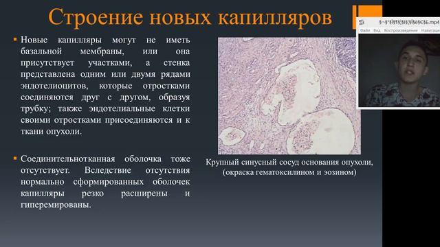 Конгресс молодых учёных. Секция "Фундаментальные науки". смотреть онлайн