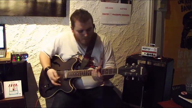 DouDou Approves - Ibanez AS53 TKF