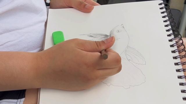 Draw With Me l Betta Fish Sketch смотреть онлайн