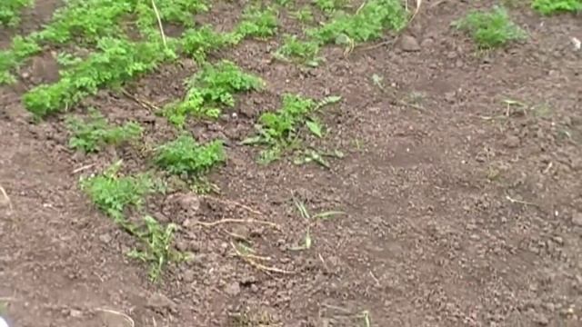 Домашний VLOG: