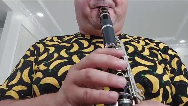 кларнет WISEMANN DSL 250 смотреть онлайн