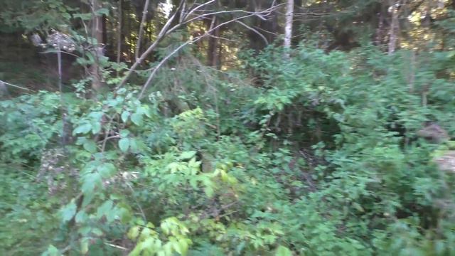 Полоцк (Дисна) 1-й дивизион 402-го РП РВСН Часть 1 смотреть онлайн