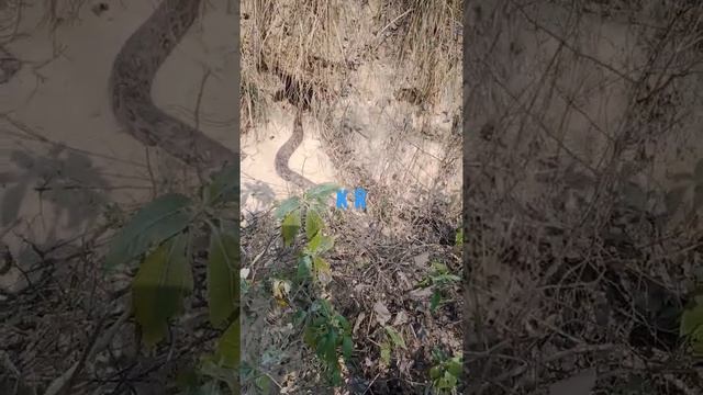 #python. KR creation please ?? support смотреть онлайн