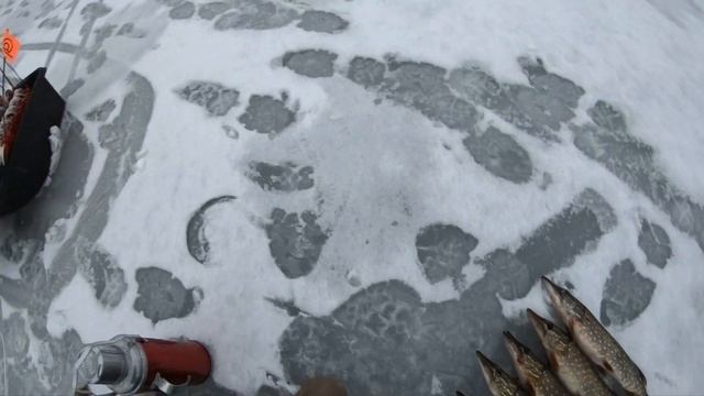 Зимняя Рыбалка -Жерлица Первые трофеи смотреть онлайн