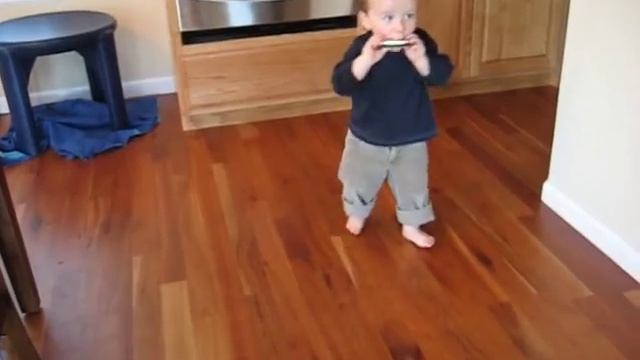 The Harmonica Kid смотреть онлайн