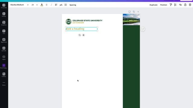 Creating a Canva Template from Scratch смотреть онлайн