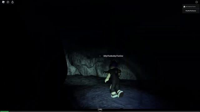 Roblox BEWILDERED? [Horror] Chapter 1 Part 1 смотреть онлайн