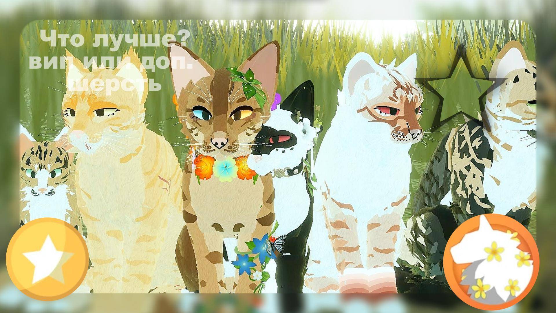 _wcue - что лучше - вип или дополнительная шерсть~