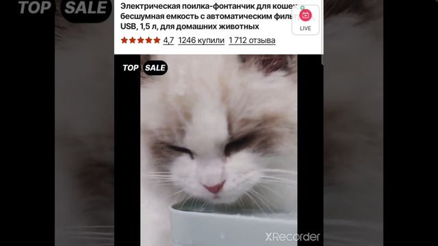 электрическая поиска для кошек