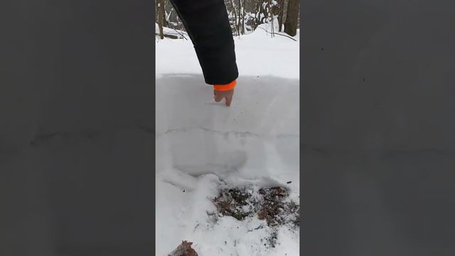 Снег запоминает погоду. смотреть онлайн