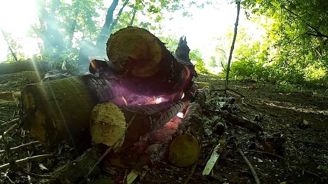 Утро.Костер на берегу Morning.campfire on the shore смотреть онлайн