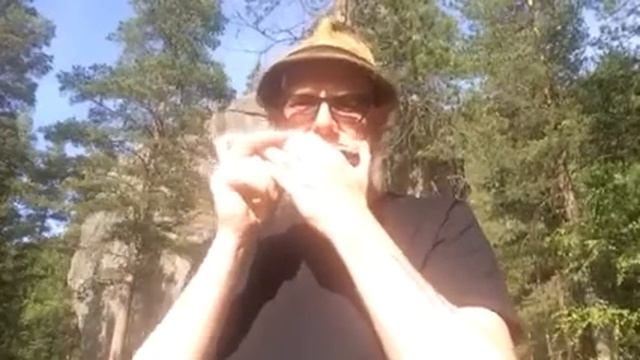 Varaldskogdundern (#2) смотреть онлайн