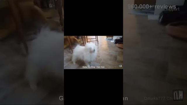 Тест на психику челенж,кто засмеется тот псих смотреть онлайн