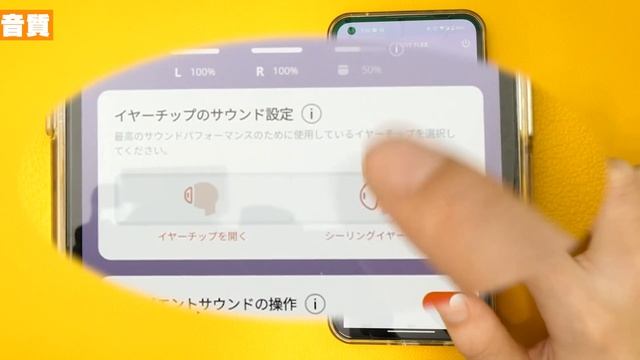 この見た目でこの値段。2in1のスケルトンイヤホン来たァ смотреть онлайн