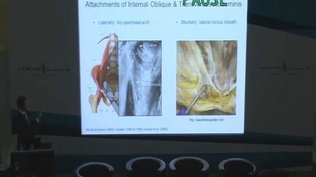 The Anatomical And Biomechanical Basis Of Clinical Assessment Of Groin Pain In Athletes