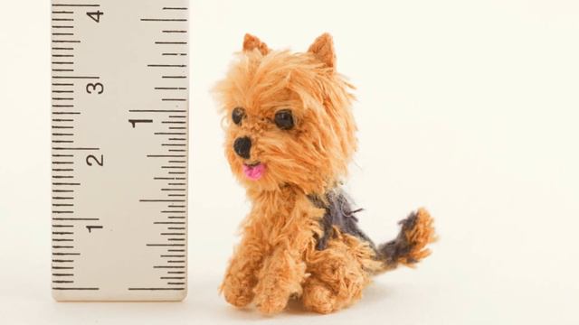 ✅Mini Yorkshire Terrier Crochet✅Hagimi Crochet ✅Amigurumi смотреть онлайн