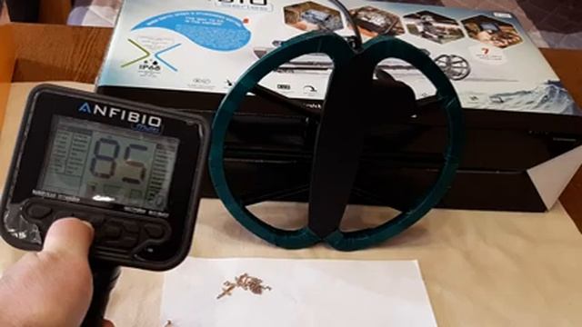 ЗОЛОТО !!! Nokta Makro Anfibio Multi GOLD !!! часть 2