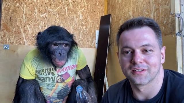 Дан Запашный и шимпанзе Боня | Вечерняя болталка смотреть онлайн
